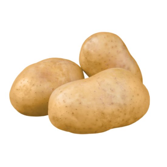 بطاطس