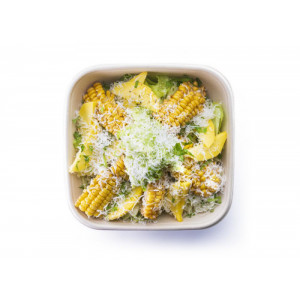 سلطة جرين جاردن