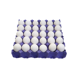 بيض طازج - طبق