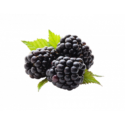 توت أسود (علبة) 170جم