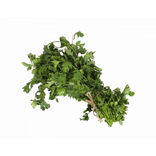 كزبرة طازجة