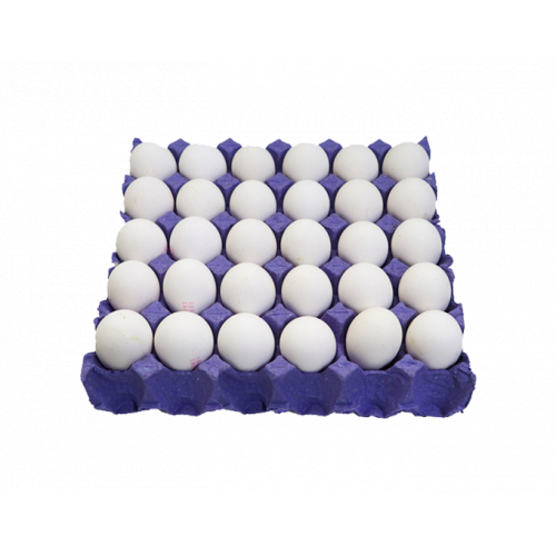 بيض طازج - طبق