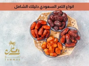 انواع التمر السعودي دليلك الشامل انواع التمر السعودي دليلك الشامل