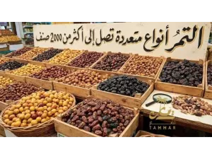 التمر أنواع متعددة تصل إلى أكثر من 2000 صنف