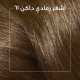 "كوليستون صبغة شعر بني رمادي فاتح جدا كيت 6/1 " "كوليستون صبغة شعر بني رمادي فاتح جدا كيت 6/1 "