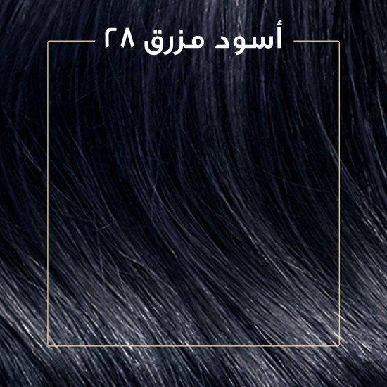 "كوليستون صبغة شعر أسود مزرق كيت 2/8 "