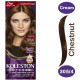 كوليستون ماكسي صبغة شعر كستنائى 305/4