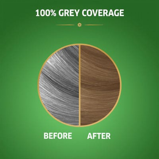 كوليستون ناتشورال صبغة أشقر رمادي فاتح 8/1