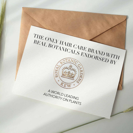 هيربال ايسنز شامبو كثافة بثمرة القهوة العربية 400 مل