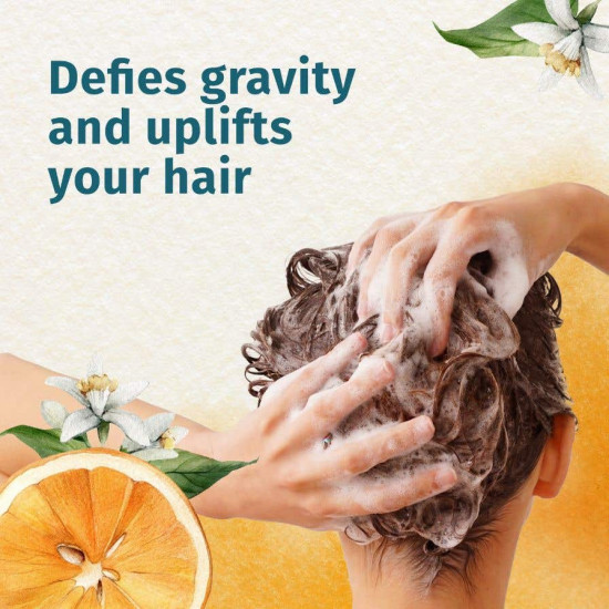 هيربال ايسنز شامبو كثيف شعر رقيق الي عادي 400 مل