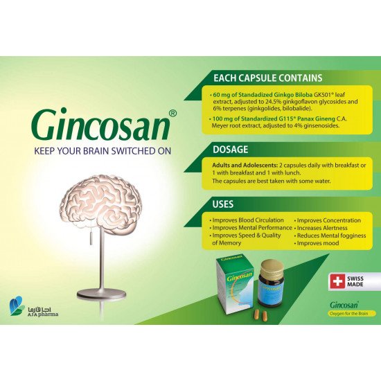 جينكوسان جنكو بيلوبا + جنسنج 30 كبسولة
