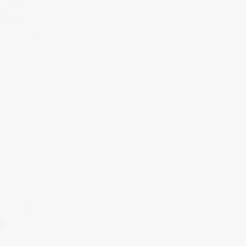 ريكسونا مزيل العرق مضاد للتعرق قطن دراي للسيدات، 150 مل