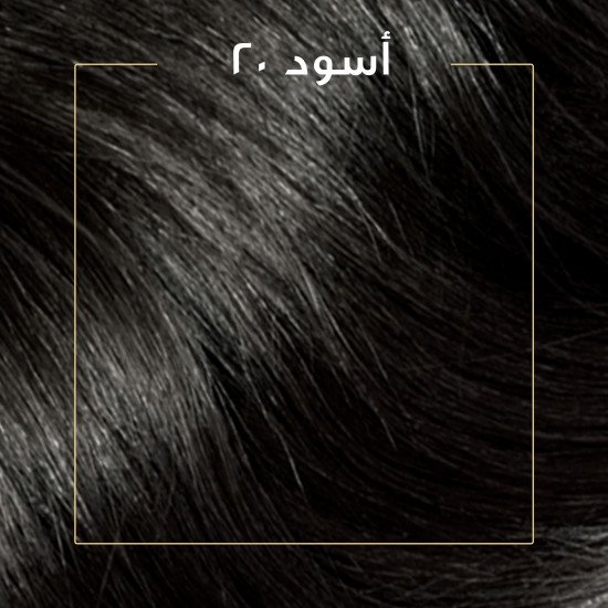 كوليستون صبغة شعر أسود كيت 2/0