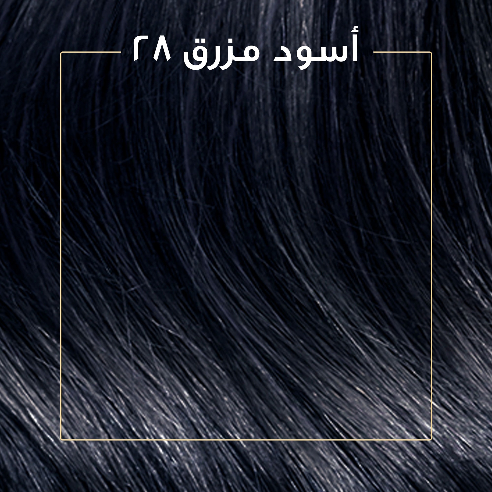 "كوليستون صبغة شعر أسود مزرق كيت 2/8 "