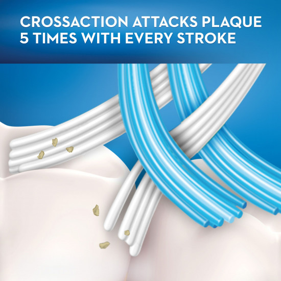 اورال - بي فرشة اسنان اكبيرت وسط (1+1)