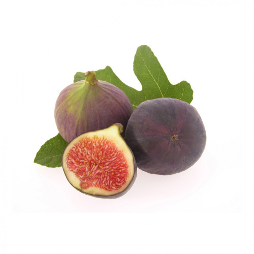 تين احمر عضوي ال طالب فلين تين احمر عضوي ال طالب فلين