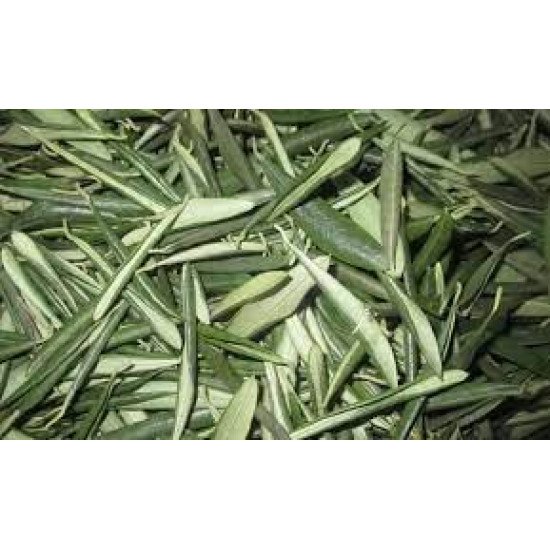 ورق زيتون بلدي مجفف 100جم طبيعي  