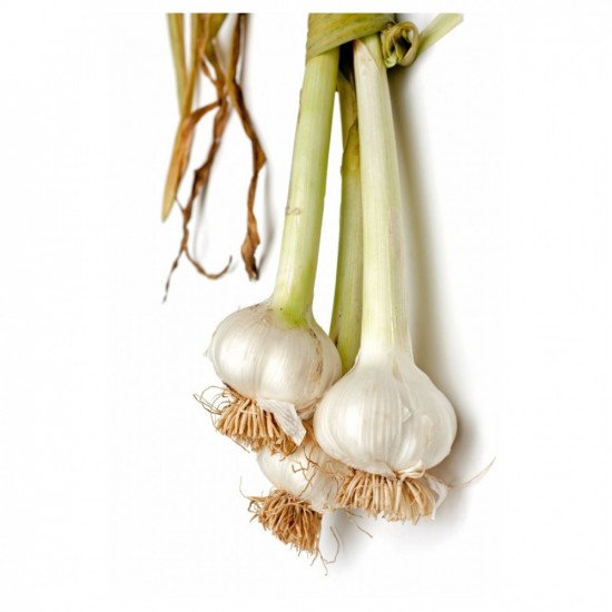 ثوم عضوي 500جم ال طالب