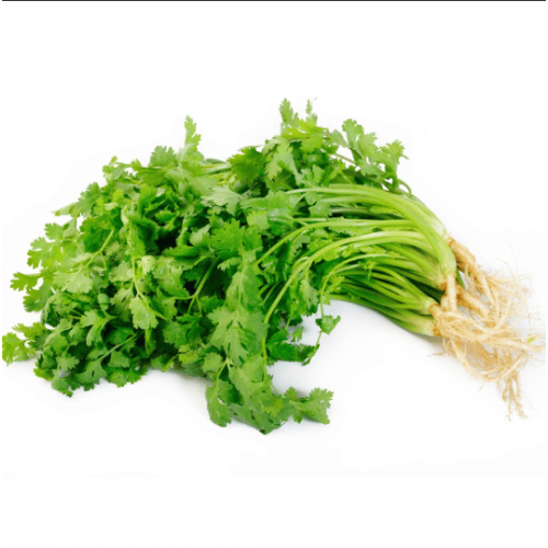 كزبرة عضوية ربطة ال طالب كزبرة عضوية ربطة ال طالب