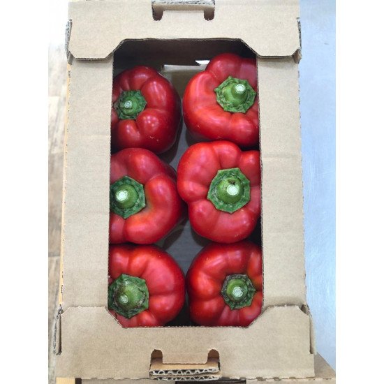 فلفل رومي ملون ( احمر ) 1 كجم طبيعي الوطنية فلفل رومي ملون ( احمر ) 1 كجم طبيعي الوطنية