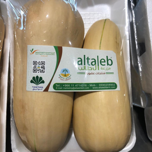 قرع عضوي من مزرعة ال طالب العضوية قرع عضوي من مزرعة ال طالب العضوية