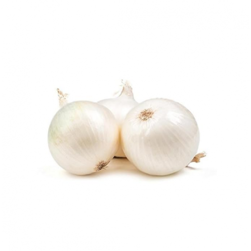 بصل ابيض عضوي 2 كجم  مزرعة الشهوان 