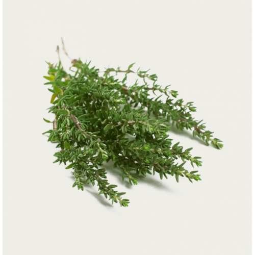 زعتر عضوي 100 جرام - مزارع السلوى العضوية