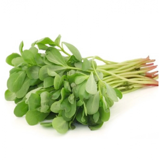 رجلة عضوية  طبق - مزارع السلوى العضوية