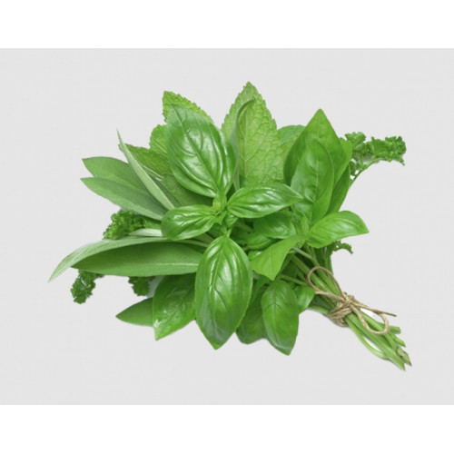 ريحان طازج عضوي طبق 100جم السلوى 