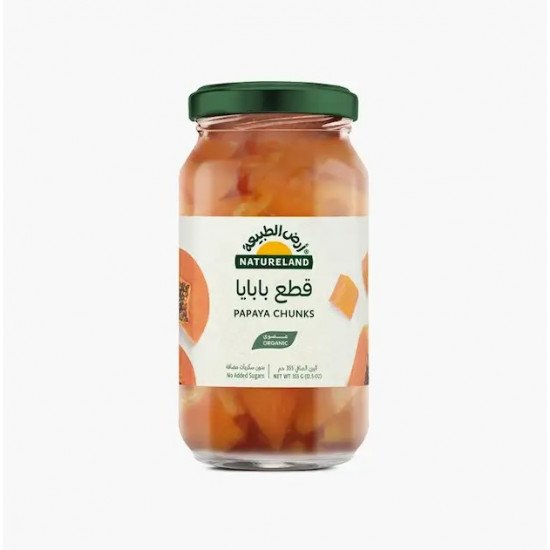 قطع بابايا عضوي 355جم عضوي خالي من الجلوتين   ارض الطبيعة 