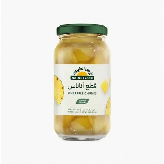 قطع الاناناس العضوي 355جم عضوي خالي من الجلوتين ارض الطبيعة 