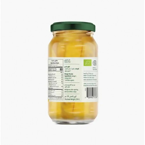 قطع مانجو عضوية 355جم خالي من الجلوتين ارض الطبيعة 