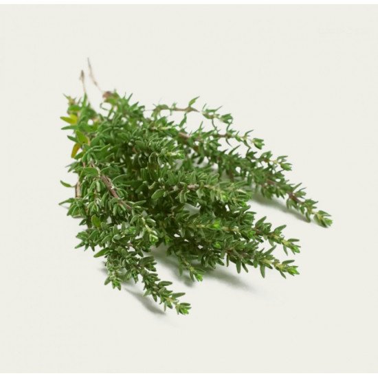 زعتر طازج عضوي علبه 100جم ال طالب