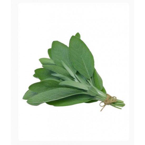 مراميه عضوية طازجة طبق مزرعة بيت الاستنبات العضوية مراميه عضوية طازجة طبق مزرعة بيت الاستنبات العضوية