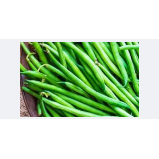 فاصوليا خضراء فلين مفحوض تعاونية الباطين