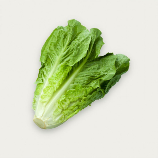 خس بلدي ( ربطه 4 حبات )  مفحوص تعاونية البطين  