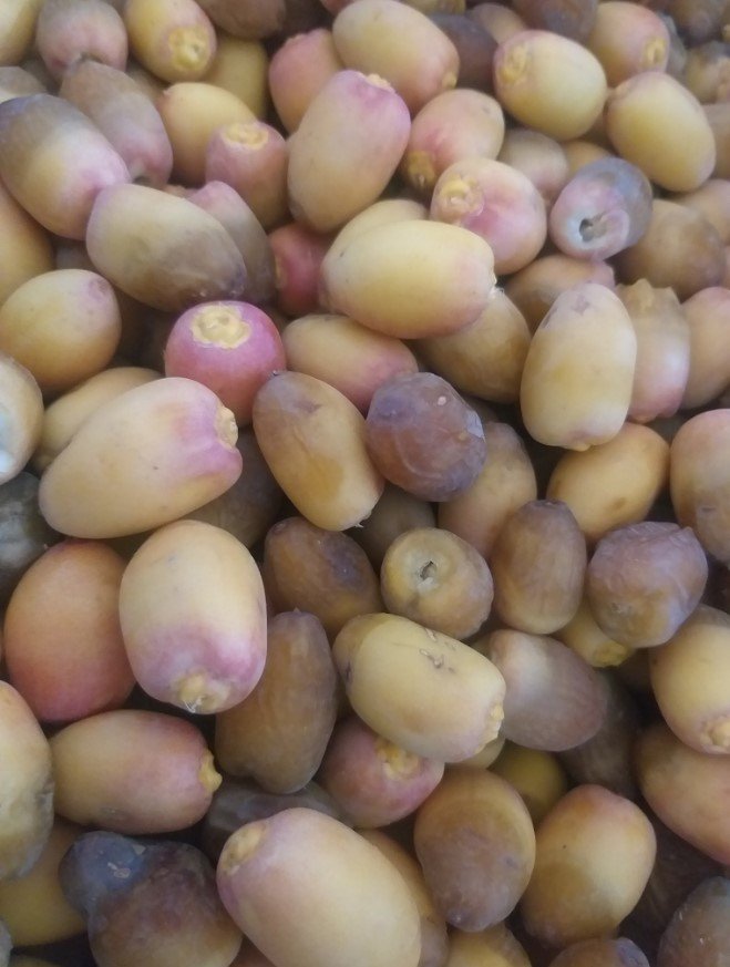 تمر بريمي الوطنية 2كجم تمر بريمي الوطنية 2كجم