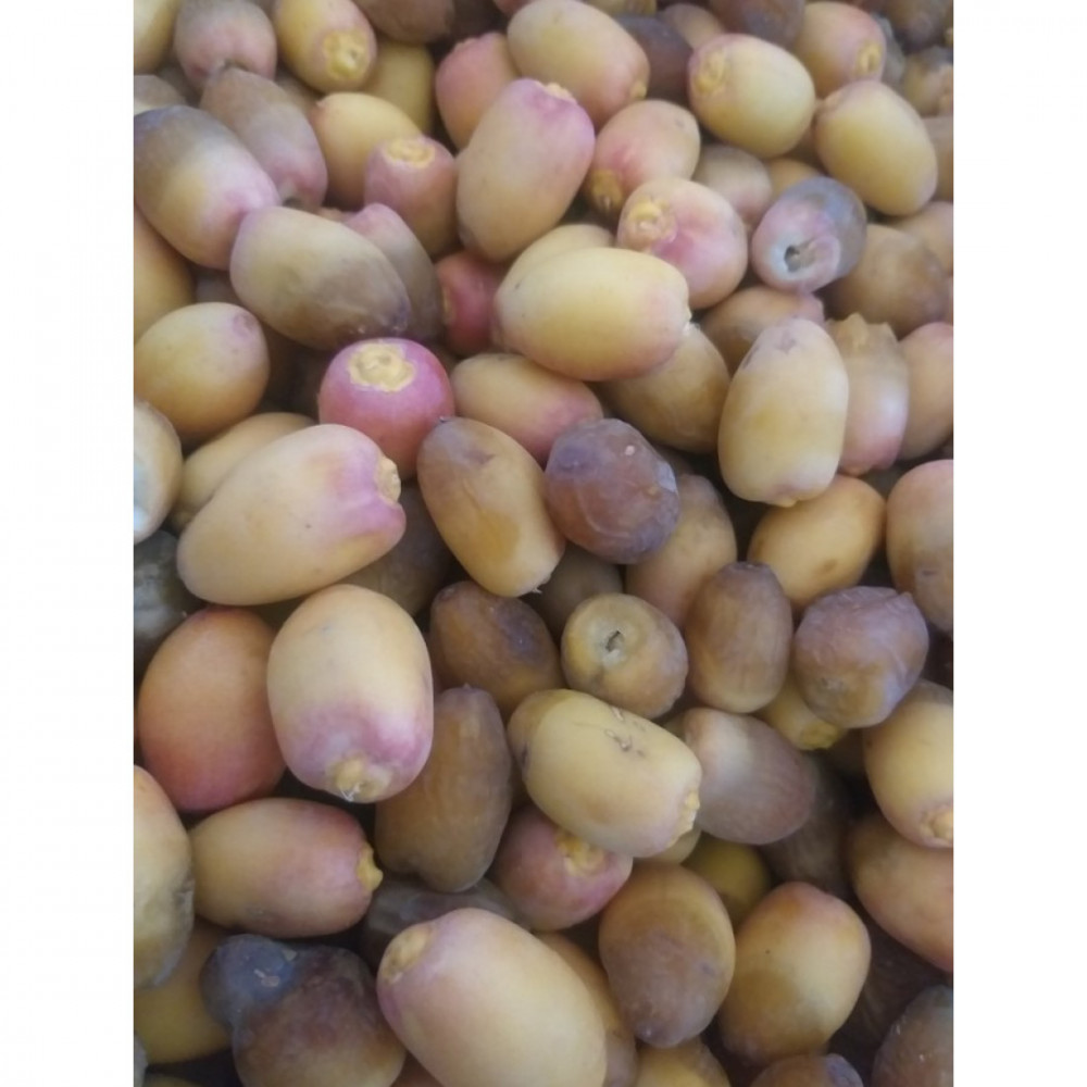 تمر بريمي الوطنية 2 كجم