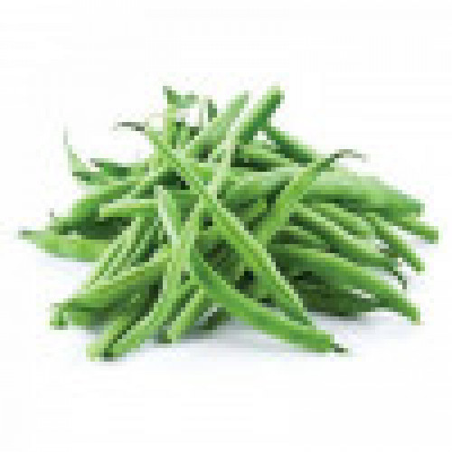 فاصوليا خضراء طازجة عضوي مزرعة بيت الاستنبات 