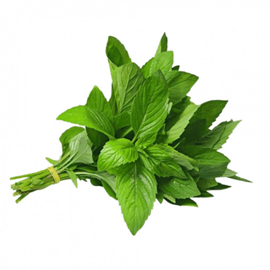 نعناع طازج مفحوص 100جم التعاونية بعنيزة