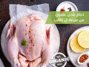 دجاج عضوي.. الاختيار الصحي الذي يبدأ من أورجانيك كينج