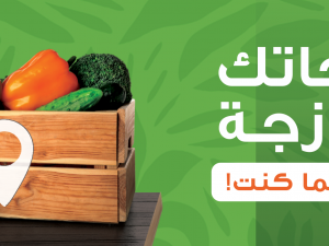 متجر أكل صحي… وجهتك الأولى لنمط حياة متوازن مع أورجانيك كينج