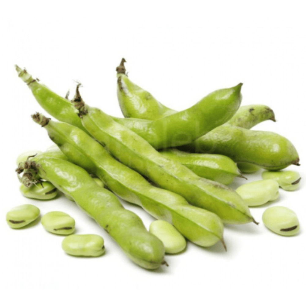 فول اخضر طازج عضوي طبق مزرعة الغذاء الامن 