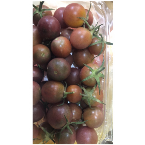 طماطم شيري بني مزارع الخير العضوية 