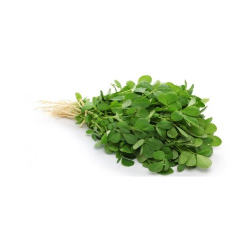 حلبة طازجة ربطة مزرعة بيت الاستنبات 