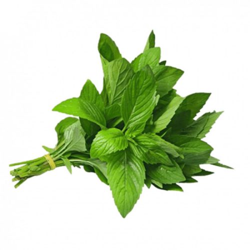 Organic Fresh Mint Bunch Al-Shahwan Farm Organic Fresh Mint Bunch Al-Shahwan Farm