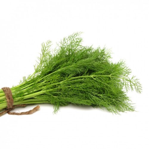 Organic Dill Bunch Al-Shahwan Farm Organic Dill Bunch Al-Shahwan Farm