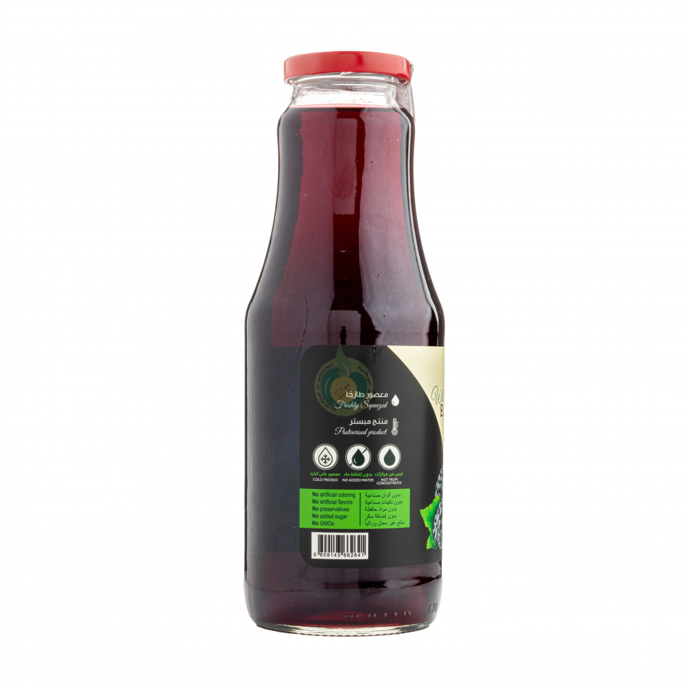 راهي عصير التوت الاسود البري 1لتر 