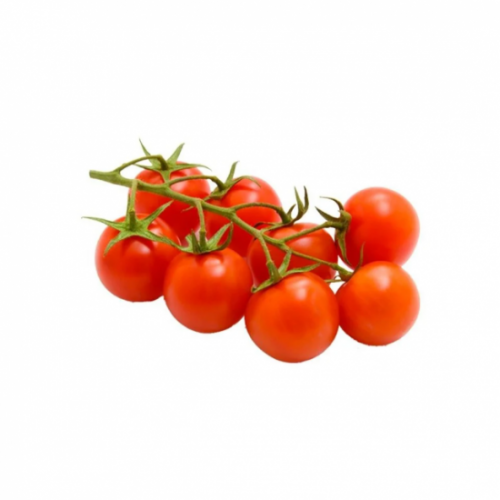 طماطم شيري عضوي طبق مزارع الياسمن العضوية 