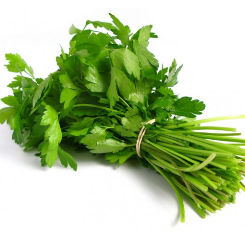 كزبرة طازجة عضوي ( ربطة ) ال طالب كزبرة طازجة عضوي ( ربطة ) ال طالب